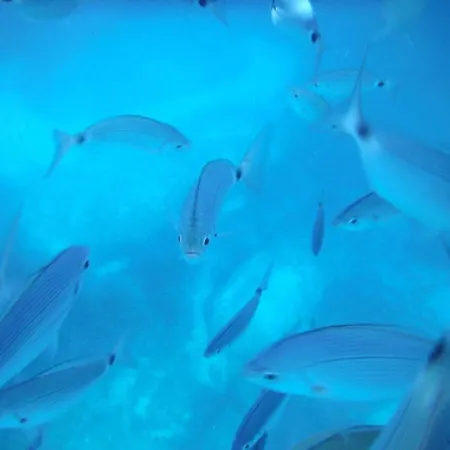 Villa Bruna Solanas (Cagliari)