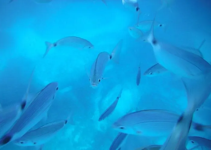 Vila Bruna Solanas (Cagliari)